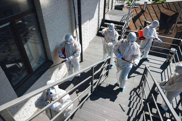 Best Commercial Mold Inspection  in Beeville, TX